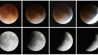 Stunning Images From Last Night's Blood Moon